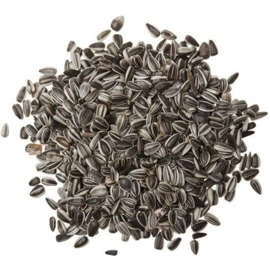 Gestreepte zonnebloempitten