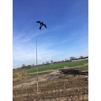 Bird-Scare Kite vlieger set 4 meter