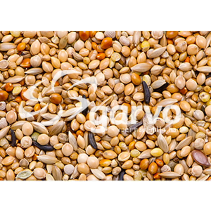 Tropical Gold (3838)