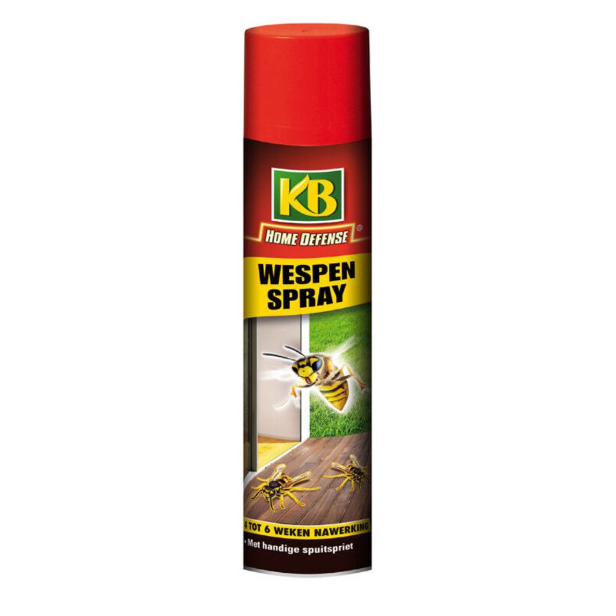 Wespen Spray 400ml