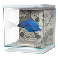 Betta kit doodskop  | 2L | 15 x 15 x 15CM Aquarium