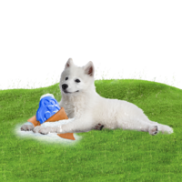 Cooling Ice Penguin verkoeling voor hond, kat en knaagdier