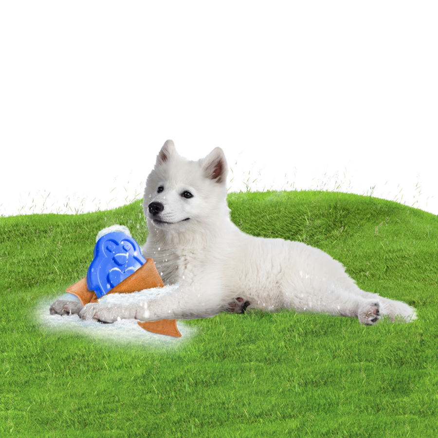 Cooling Ice Penguin verkoeling voor hond, kat en knaagdier