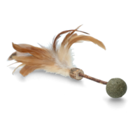 Stick Met Bal En Veren