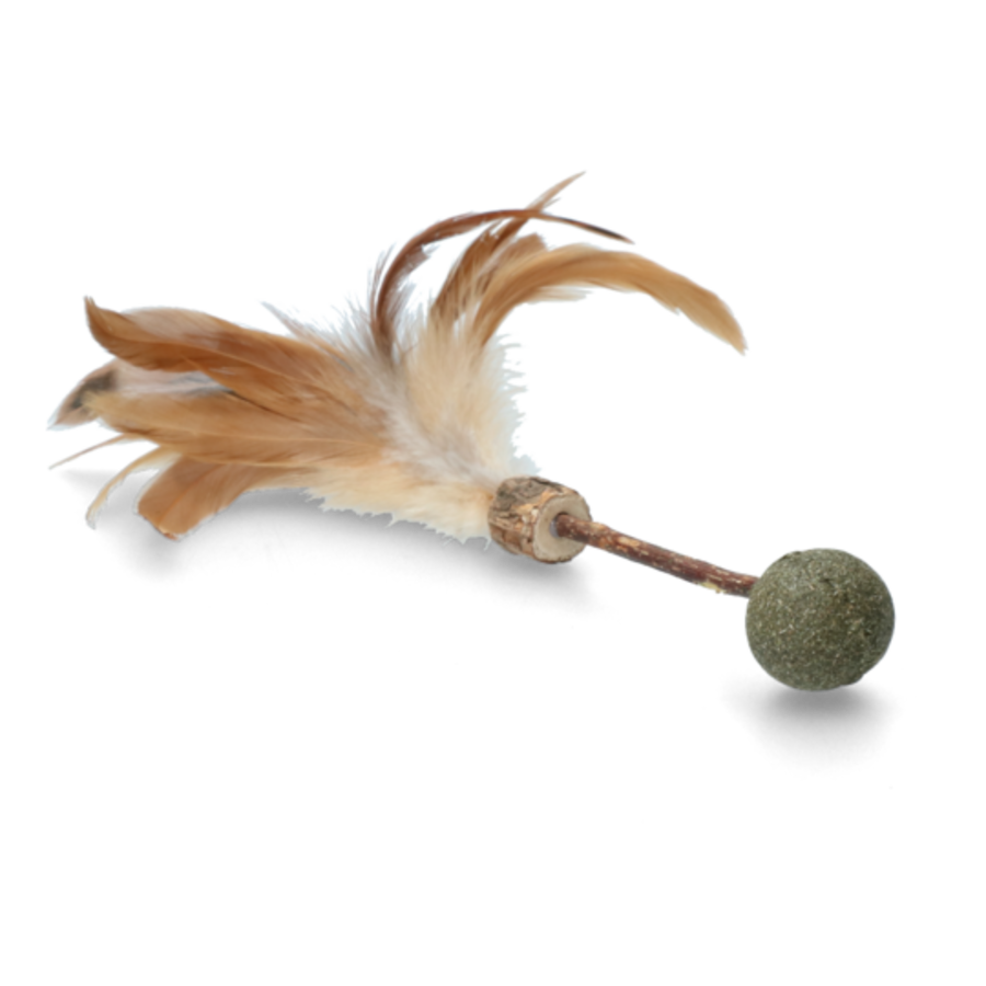 Stick Met Bal En Veren