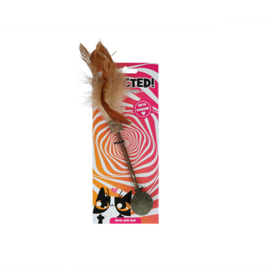 Stick Met Bal En Veren