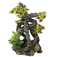 Twist Bonsai