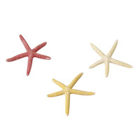 Zeesterren aquariumdecoratie assorti