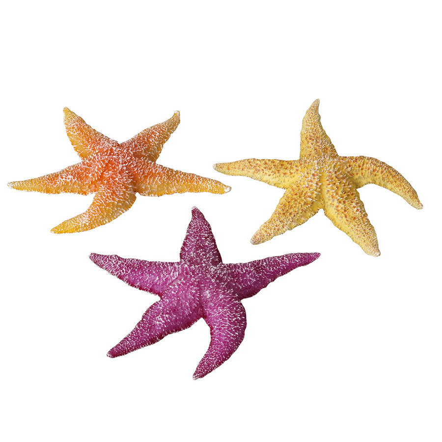 Zeester aquariumdecoratie assorti | 17 x 15 x 2,3 cm | voor zoet en zout water