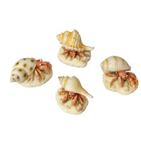 Heremietkreeft aquariumdecoratie 9,3 x 6 x 4,9 cm | gifvrije polyresin