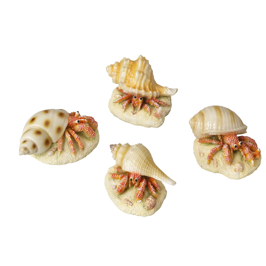 Heremietkreeft aquariumdecoratie 9,3 x 6 x 4,9 cm | gifvrije polyresin