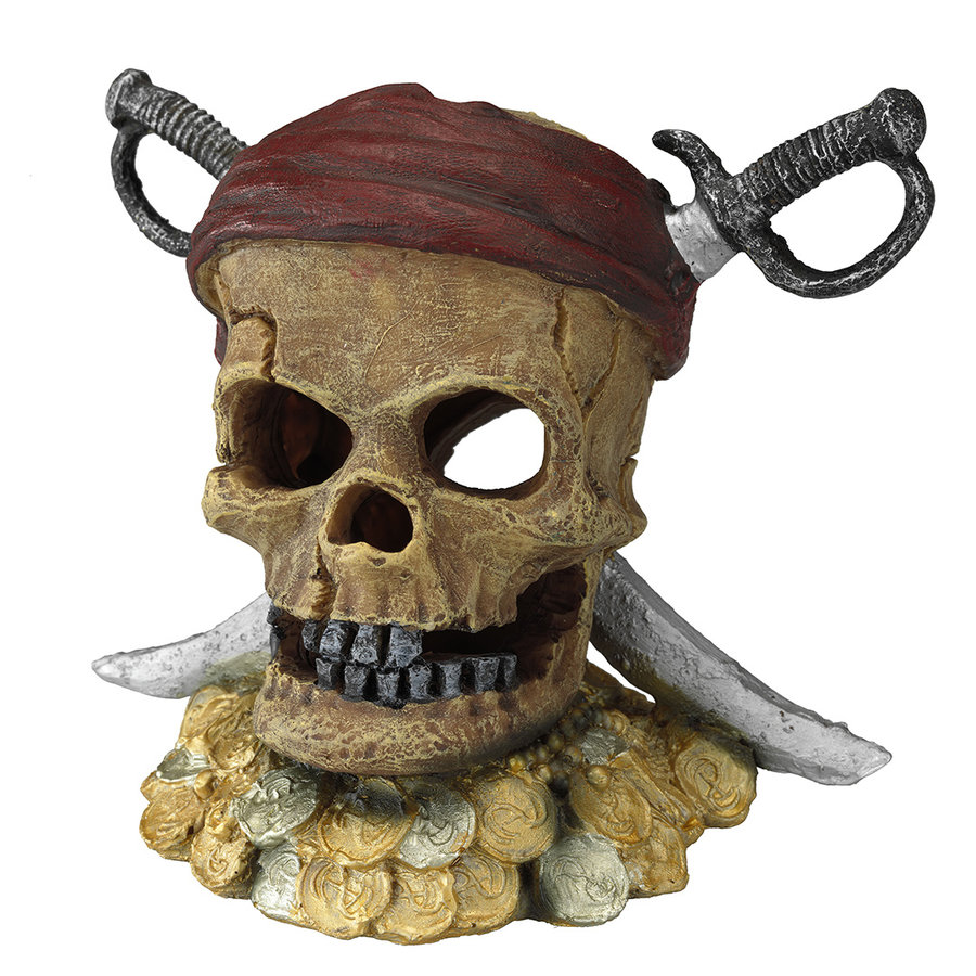 Piraten schedel zwaardhoofd