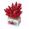 Koraal module acropora rood