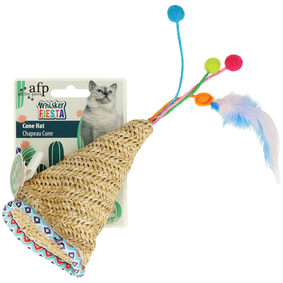 Whisker Fiesta cone Hat