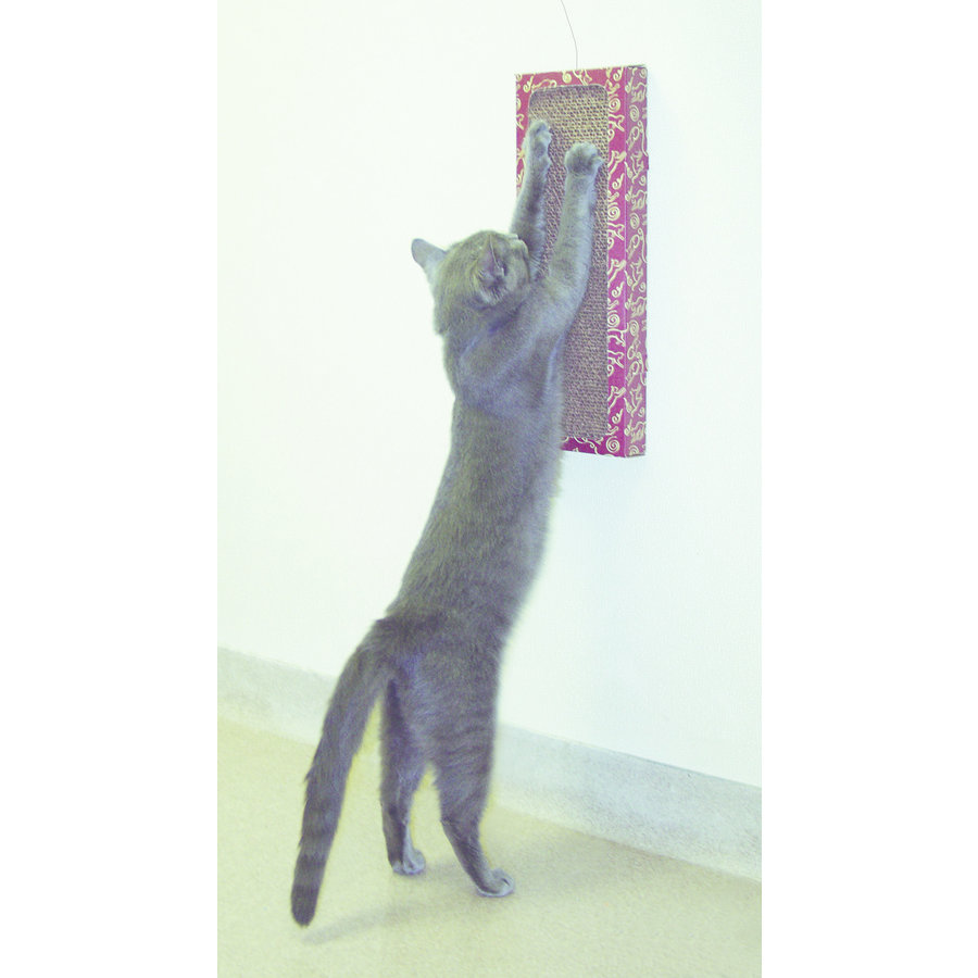 Wall Scratcher