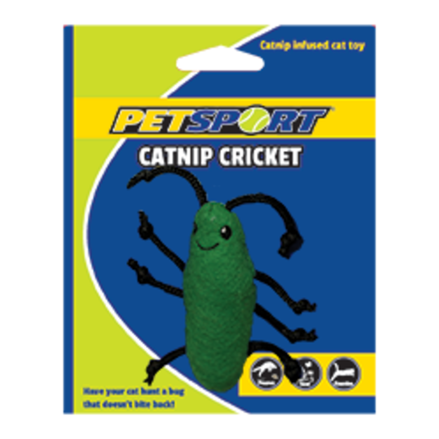 Catnip Cricket