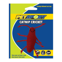 Catnip Cricket