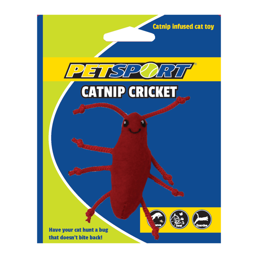 Catnip Cricket