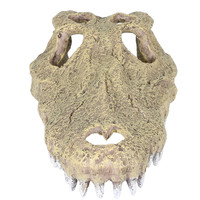 Aligator schedel aquarium- en terrariumdecoratie 28,5 x 14,5 x 8 cm