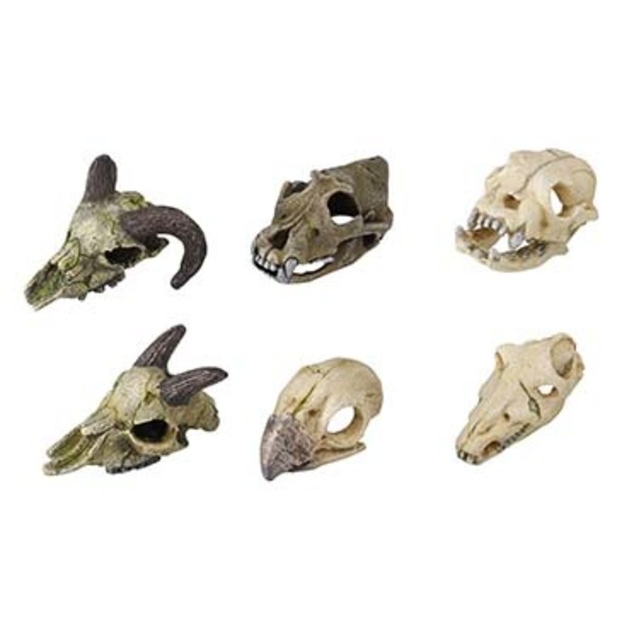 Skull mini aquarium ornament assorti 7-10 cm | per stuk