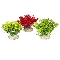 Plant glosso Gemengde kleuren groen/rood