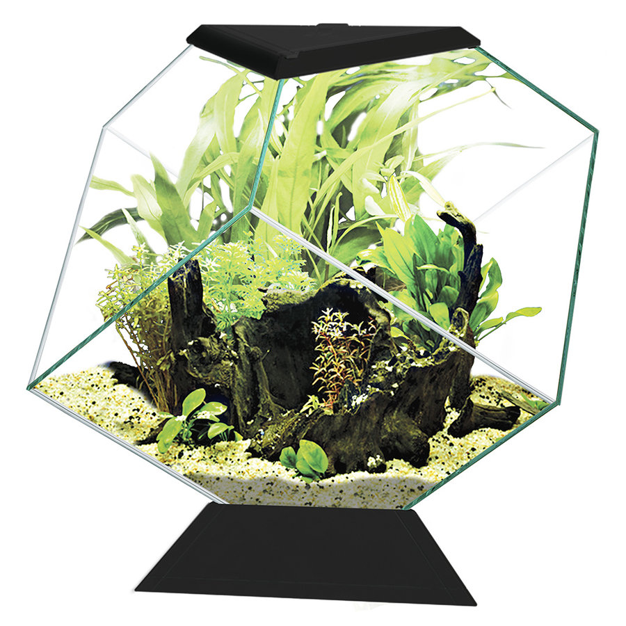 Aquarium Nexus Betta 14C