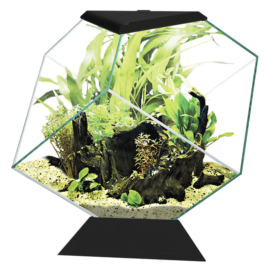 Nexus 14C | 14L | 35,4 x 41,8 x 36,8CM Zwart Aquarium