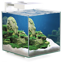 Nexus Pure 15 LED | 14L | 25 x 25 x 31,5CM Aquarium