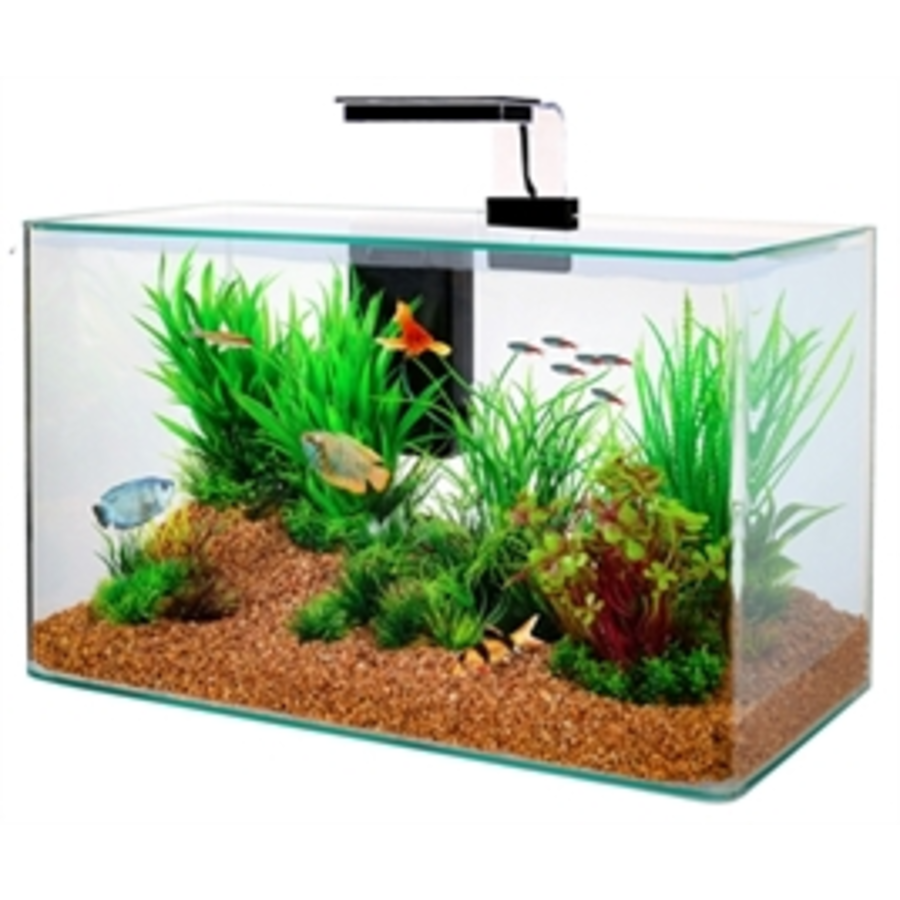 Clear kit | 32L | 50 x 25 x 38CM Zwart Aquarium