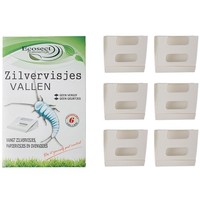 Zilvervisjes  vallen 6 stuks