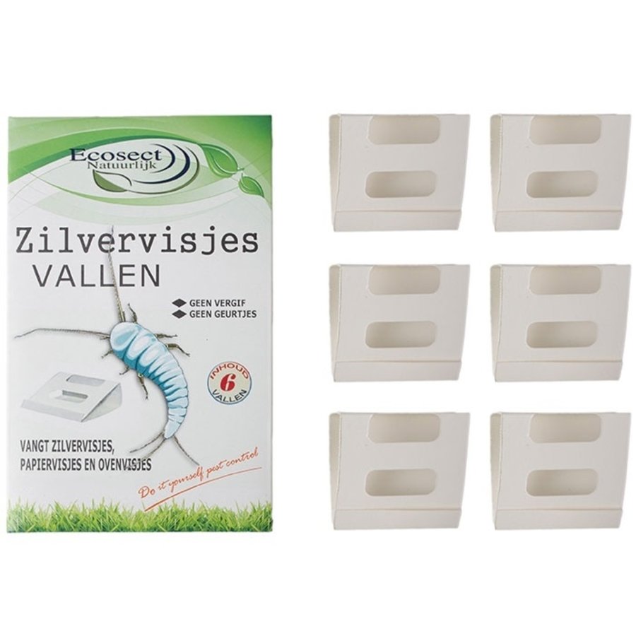 Zilvervisjes  vallen 6 stuks