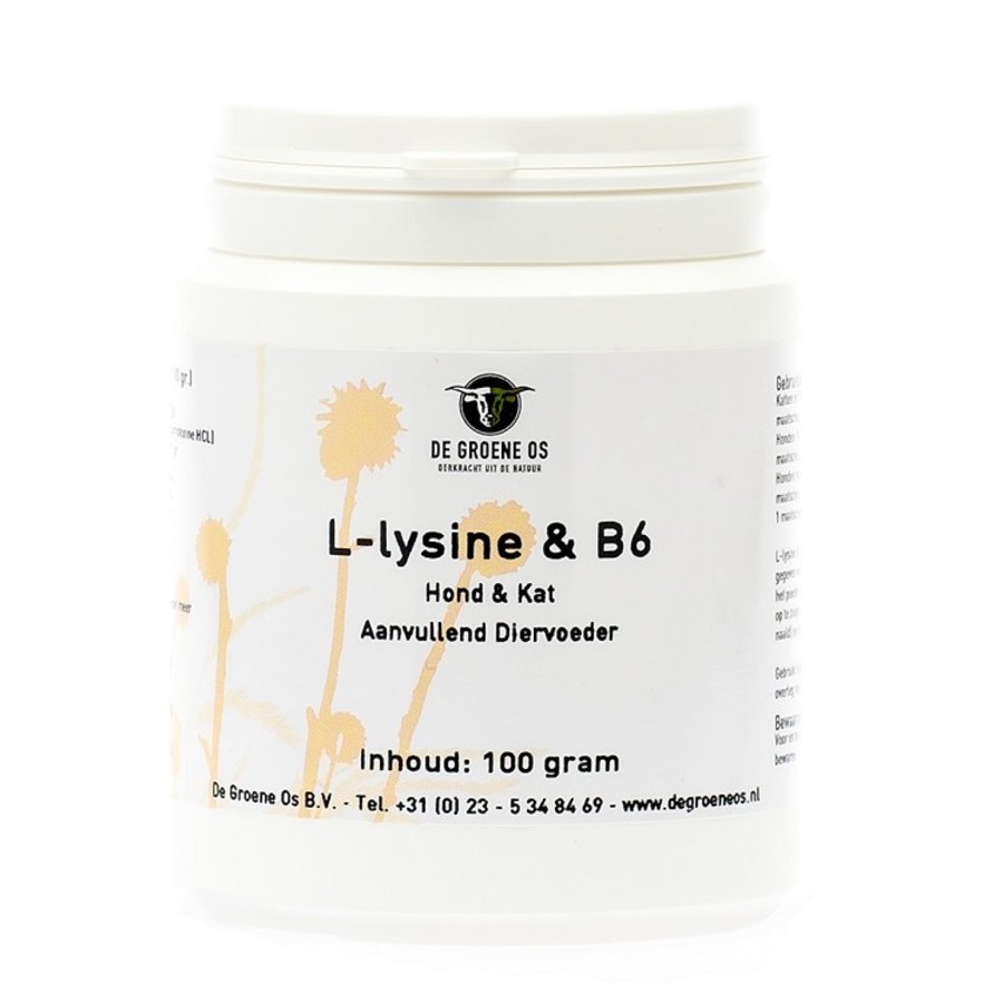 L-lysine & B6 hond & kat 100gr