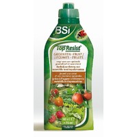 Top resist groente fruit 900ml