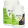 Cat L-Lysine