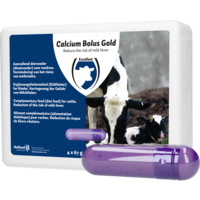 Calcium bolus gold