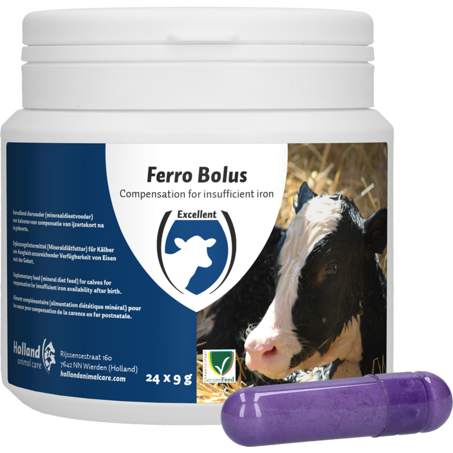 Ferro bolus