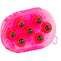 Borstel magneet massage