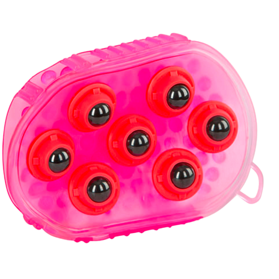 Borstel magneet massage