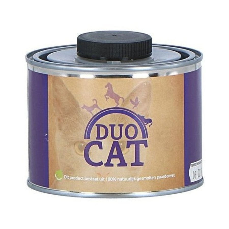 Duo Cat
