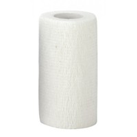 Bandage zelfklevend 10 cm x 4 meter