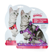 Kitten Harness riem Pink/Purple