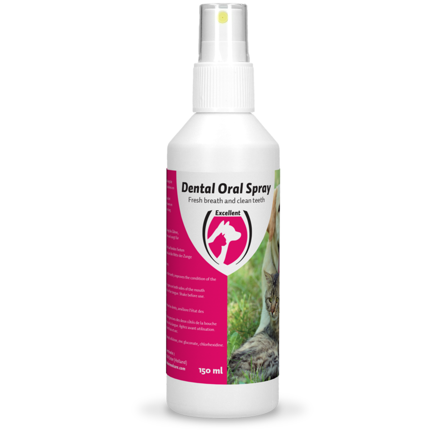 Dental oral spray