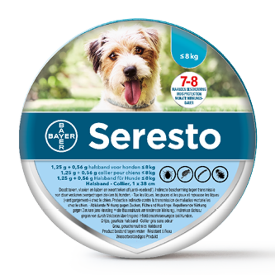 Brein Alstublieft kloof Seresto halsband kleine hond (< 8kg) - Junai.nl
