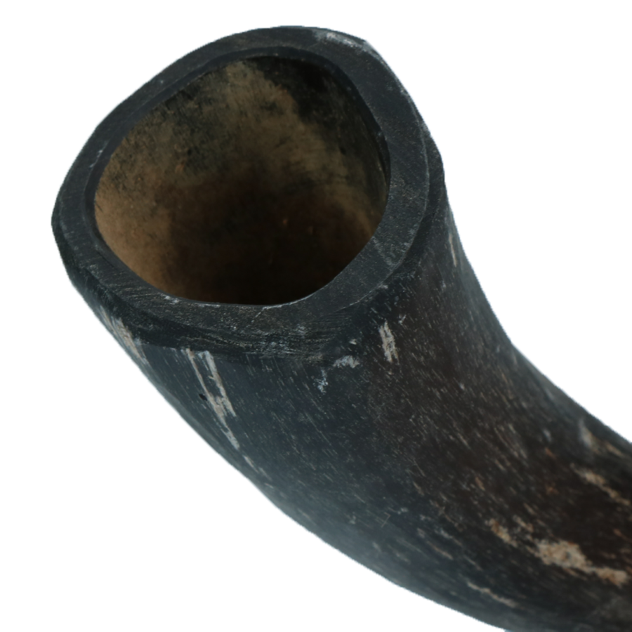 Whole horn