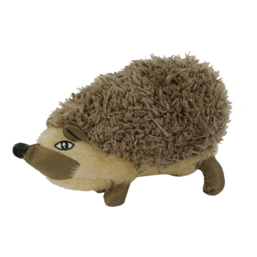 Dog Hedgehog (Egel)