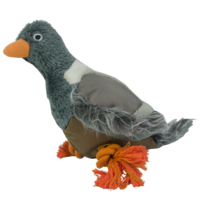 Dog Pigeon (Duif)