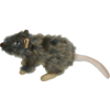 Dog Rat