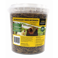 Gedroogde meelwormen 1,2 liter