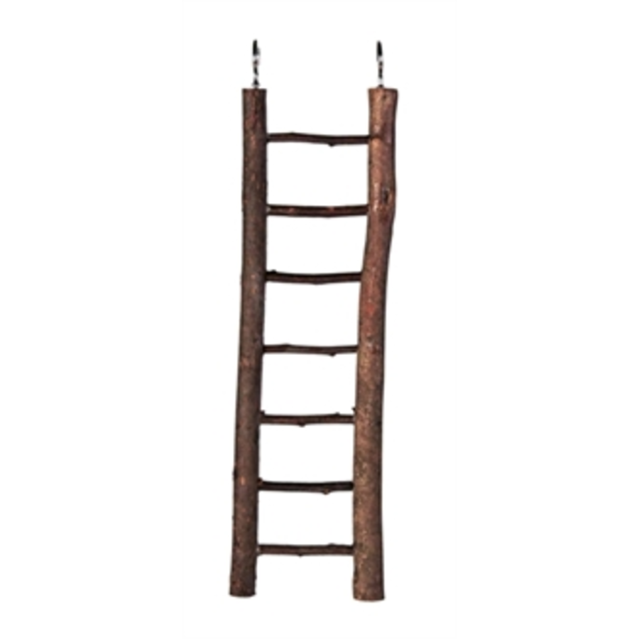 Ladder schorshout