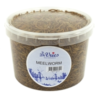 Meelwormen